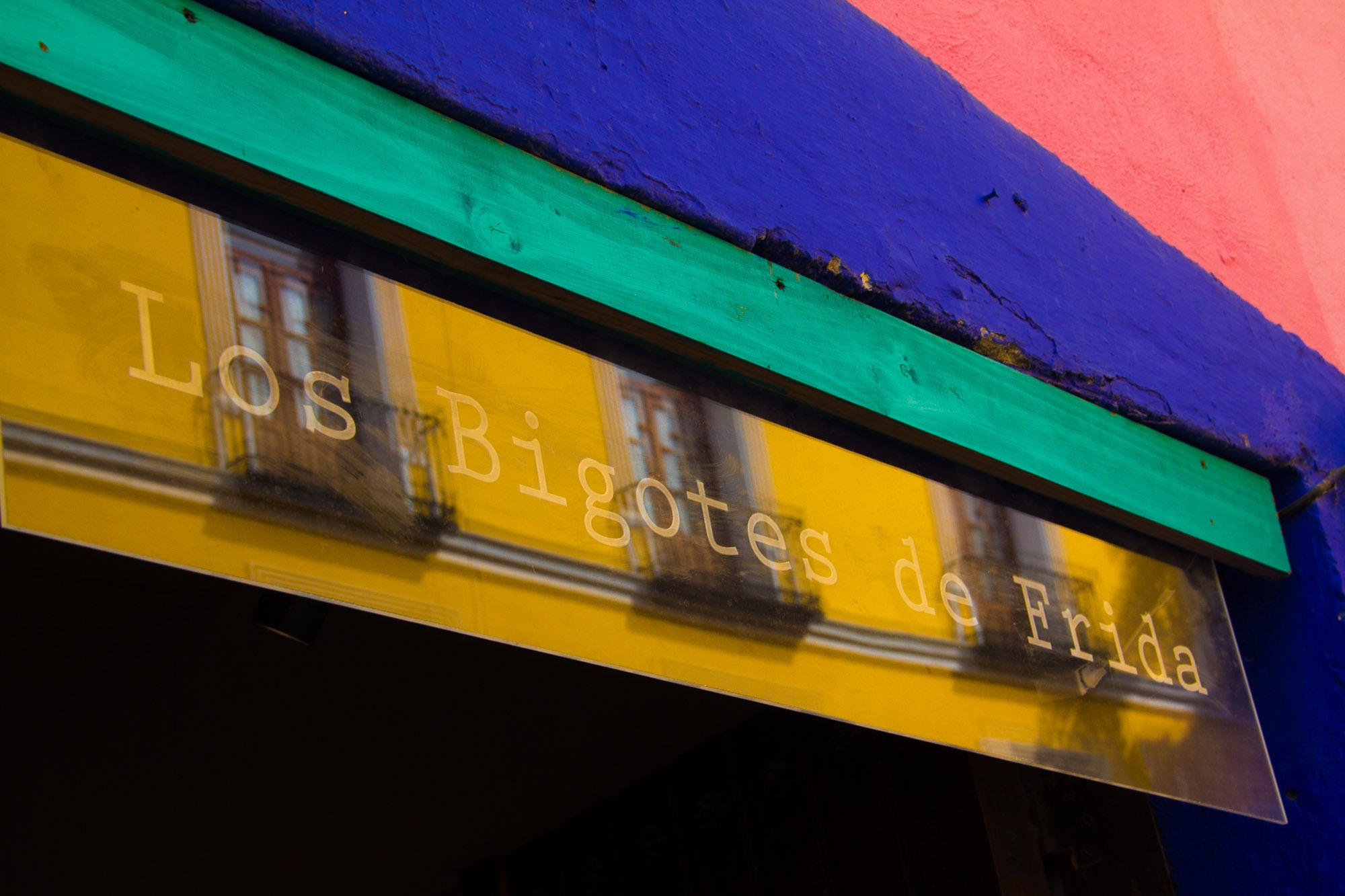 Los bigotes de Frida